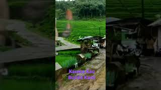 Karena Kau Bunda Kami (Dalbo) cover