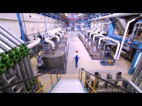 Melasse: Vielseitiges Produkt der Zuckerherstellung - Schmeckt Richtig!