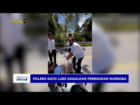 SATRESNARKOBA POLRES GAYO LUES AMANKAN PENGEDAR IBU DAN ANAK SERTA PENANAM LADANG GANJA