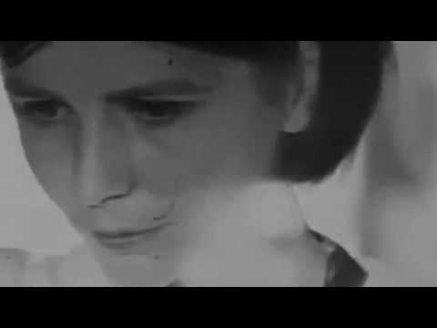 Axoon - 5-HT [ØBSC28]