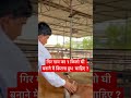 गिर गाय का 1 किलो घी बनाने में कितने लीट