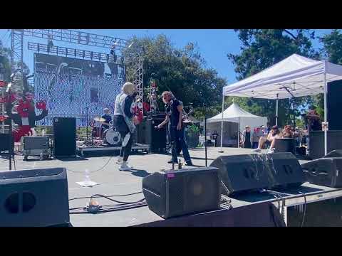 Bush Tetras - Too Many Creeps (live @ Mosswood Meltdown, 7.7.24)