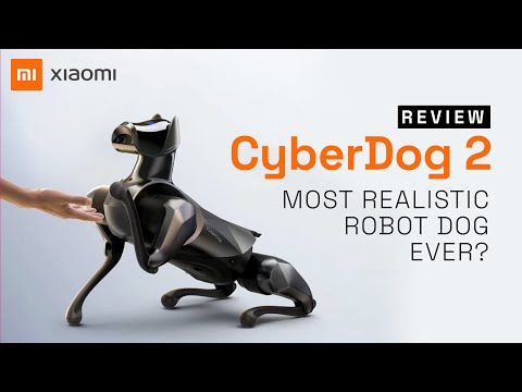 Xiaomi CyberDog 2 Review: Everything You Need to Know