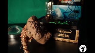 A Perfect Circle and The Beta Machine performing at Xcel Energy Center in St. Paul, MN on 11.25.17