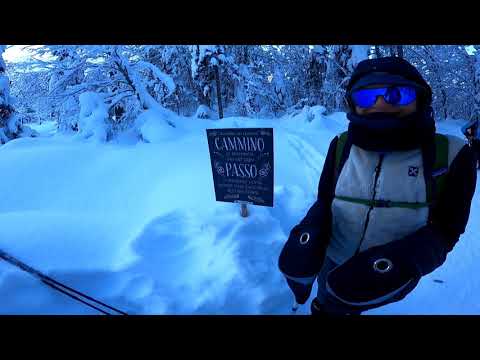 WildTrack Val Saisera