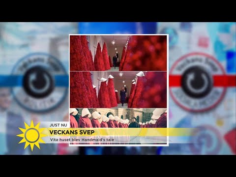 Hån mot julstämningen i Vita huset: ”Taskigt mot Melania Trump” - Nyhetsmorgon (TV4)
