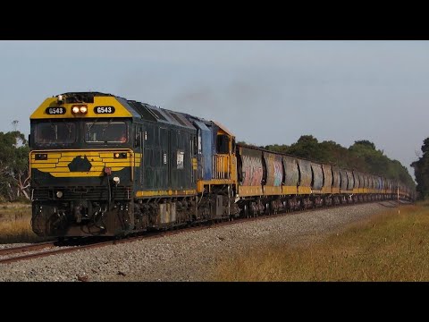 Pacific National 9153 Broad Gauge Grain Train With G543 & XR558 Seen At Doyle’s Rd Elaine (22/2/23)