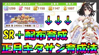 【ウマ娘/リーグオブヒーローズ】無課金・初心者でも大丈夫‼︎勝てる正月キタサンブラック育成方法について紹介します‼︎