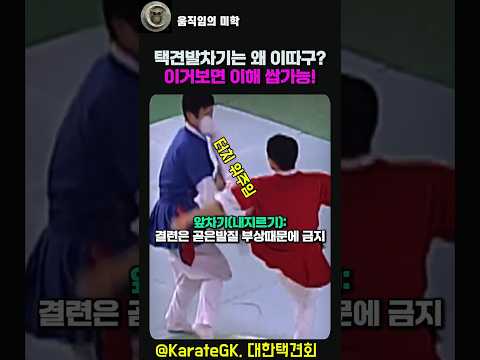 택견발차기는 왜 이럴까? 이거보면 쌉이해가능 #taekkyeon