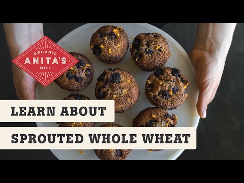 Learn About Sprouted Whole Wheat Flour