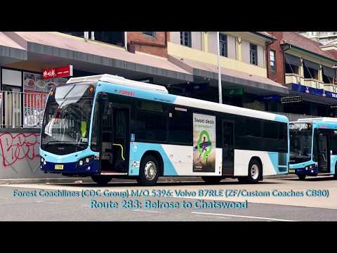 TURBO: Forest Coachlines M/O 5396: Volvo B7RLE (ZF EcoLife/CC CB80)