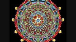 Suffer for Fashion by of Montreal (Decent Quality)