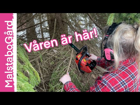 Nu närmar sig våren![S1A10]