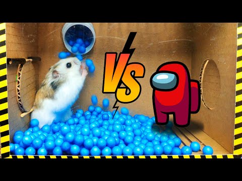 🐹Cute Hamster pets Among Us but with Traps in maze