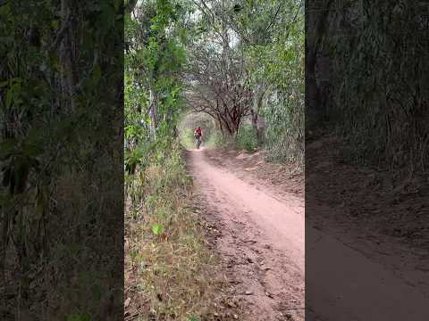 Corredor na Serra da Onça  - Frei Miguelinho / PE
