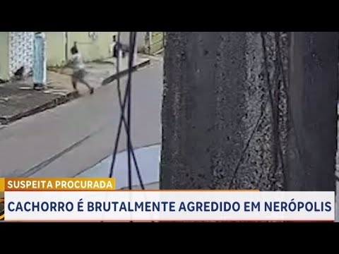 IDOSA AGRIDE CACHORRO EM NERÓPOLIS GOIÁS 