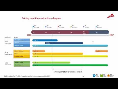 BCC Pricing for Profit – pricing strategy planning and management in SAP