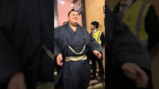 【大相撲ロンドン公演🇬🇧】最終日出待ち！横綱大の里や豊昇龍！歓声溢れる！🇬🇧ロンドン中が感激！若隆景、霧島、高安、安青錦、阿炎、伯桜鵬、王鵬、熱海富士、佐田の海、朝紅龍、翔猿、竜電、獅司など