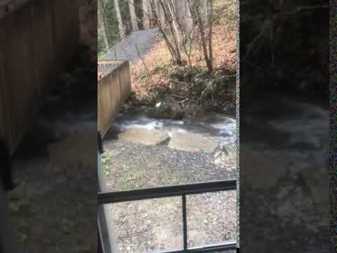 The stream outside our door