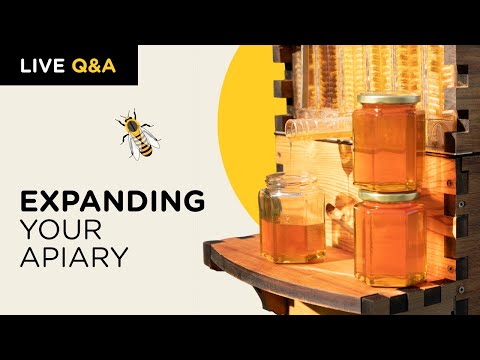 Expanding your apiary - how and why...