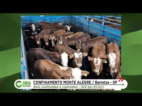PROTOCOLO 1953: CONFINAMENTO MONTE ALEGRE ENTREGA LOTE HEREFORD COM MÉDIA DE 21,5 ARROBAS