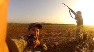 preview picture of video 'Nayarit Hunting / Cacería de Palomas en Tuxpan Nayarit / Hunting Doves in Tuxpan Nayarit'