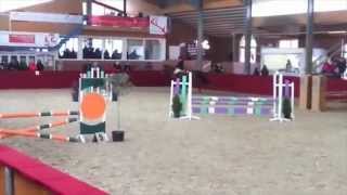 Video von Lando 335
