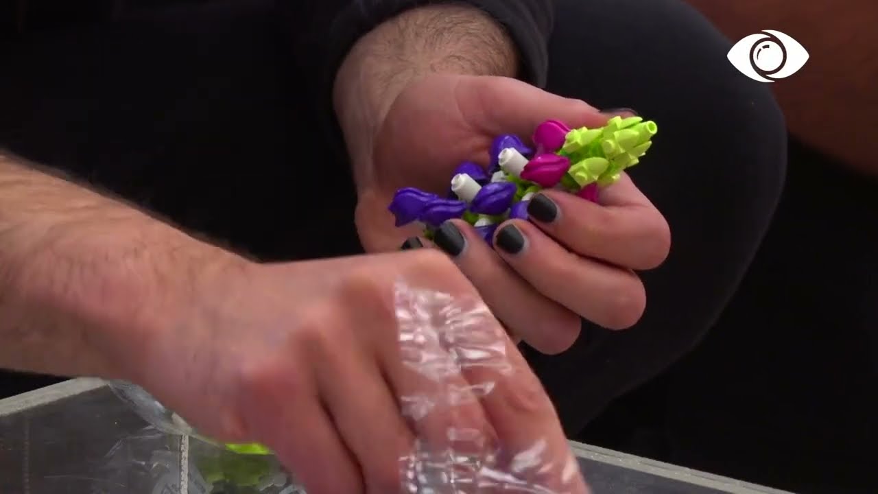 Loja Hamleys/ Keisi ndihmon grupin e djemve