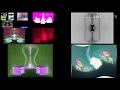 29 Pingu Season 1 Episode 18 Loud