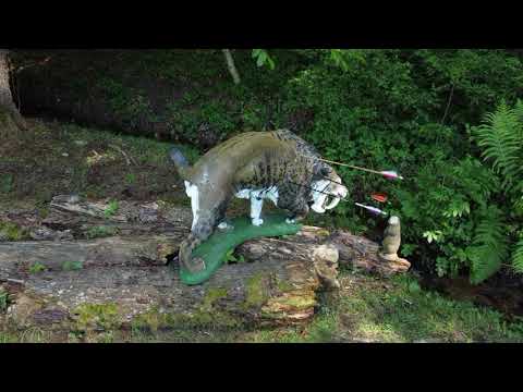 3D Bogen Parcours in Nöchling