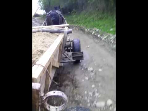 Proba pe Valea Catinei