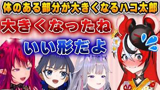 １年間で成長し、柔らかく大きくなったハコ太郎【ホロライブ/アイリス/ハコ太郎/ベールズ/クロニー/ビジュー】