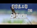 Learn Chinese songs像鸟儿一样 周深Pinyin, lyrics, translation