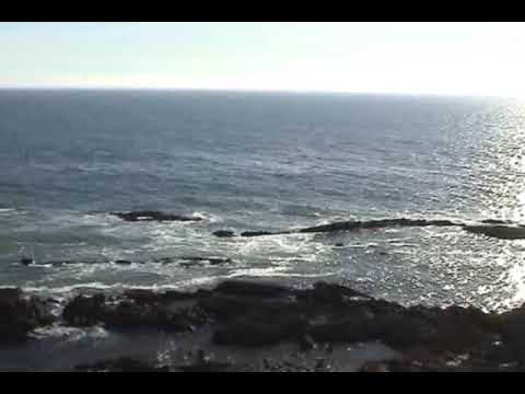 OG Spicy Mike ft. Black Roze, Big Meezy  - Santa Monica