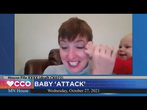 Baby 'Attacks' Minnesota Rep. During House Committee Zoom