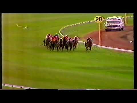 1985 Craiglee Stakes