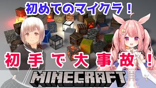 【Minecraftコラボ】女子２人が初めてのマイクラで初手放送事故！【兎月るあ】×【囲碁Vtuber小澄らんか】