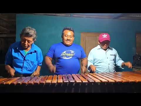 Aldea La Cobanerita Sones En Marimbas