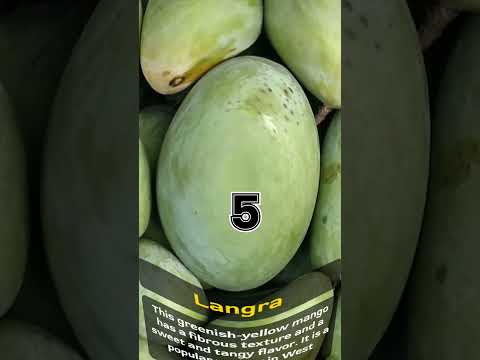10 Famous 🥭Mango  Varieties of India #shortsvideo  #shrots