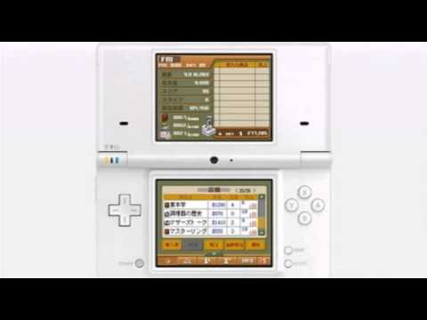 Bookstore Dream Nintendo DS