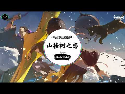 山楂树之恋 (抖音DJ版) - 程jiajia『我的山楂树之恋，只有是和你才会纯洁。』♪ || 最火爆的歌曲 | 抖音音樂庫 |  抖音 | TikTok ♪