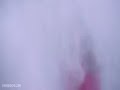Na Kajre Ki Dhaar Mohra Video Song FHD HDvideo9 Mp4 Sunil Shetty