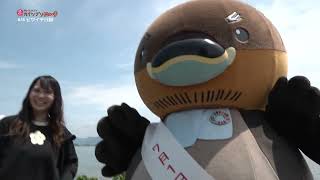 2026/7/22放送・知ったかぶりカイツブリにゅーす