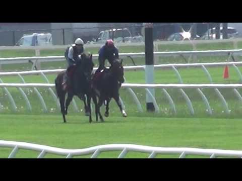 Lucky Teroda and Conquest Too Smart