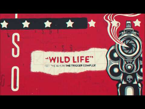Video thumbnail for Wild Life