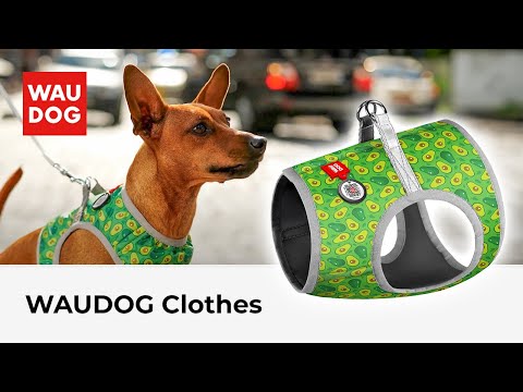 Шлея для собак мягкая WAUDOG Clothes c QR паспортом, рисунок "Авокадо", S2, В 46-50 см, С 43-45 см - фото 1 - id-p2197594675