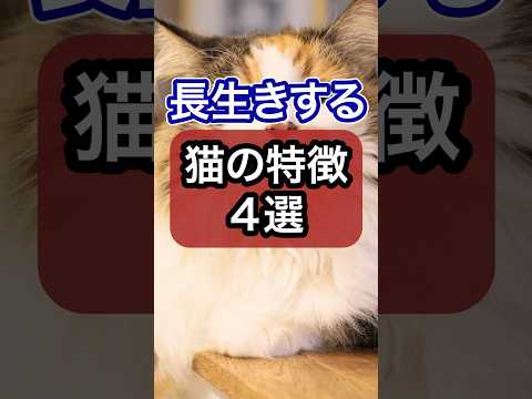 猫をより長く、より良く長生きさせる方法