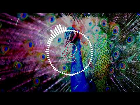 Simo Romanus - Something About Your Love