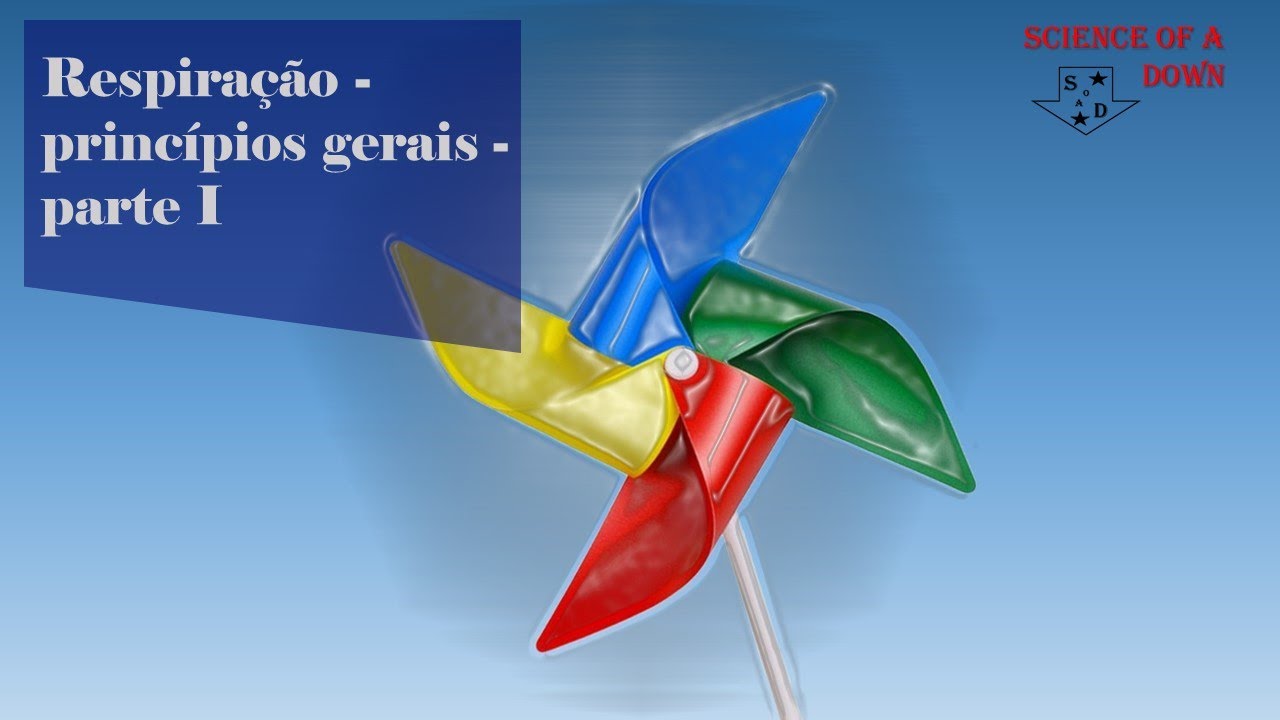 Respiração - princípios gerais - parte 1