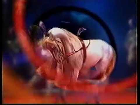 TVC   Stars of the Moscow Circus